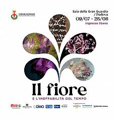 Il fiore e l'ineffabilita' del tempo